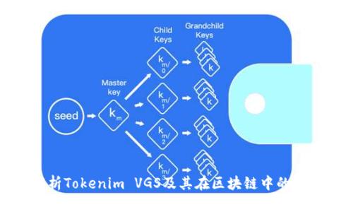全面解析Tokenim VGS及其在区块链中的应用前景
