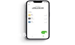 深入了解Tokenim币的BTC交易：投资者需知的关键要