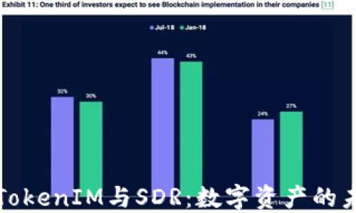 
深入理解TokenIM与SDR：数字资产的未来与挑战