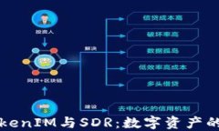 深入理解TokenIM与SDR：数字资产的未来与挑战